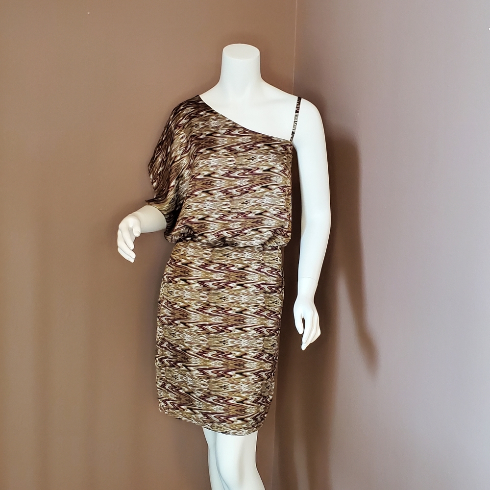 NWT JESSICA SIMPSON brown blouson dress 6